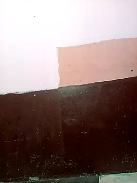 Mynidhiji's cam snapshot