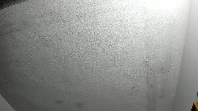 Scarlett__Noir's cam snapshot