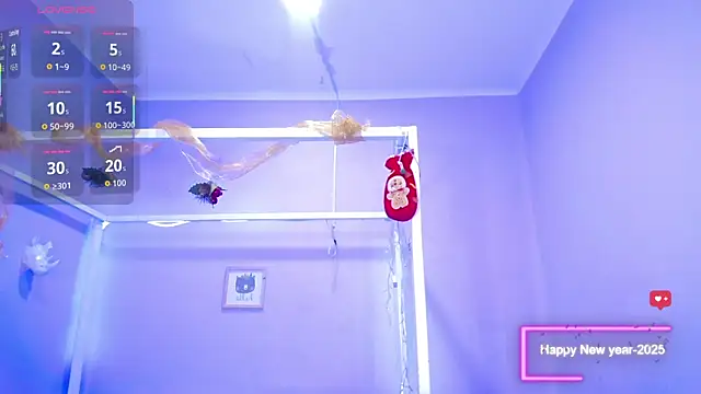 Nahom1_'s cam snapshot