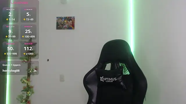 vieernes's cam snapshot