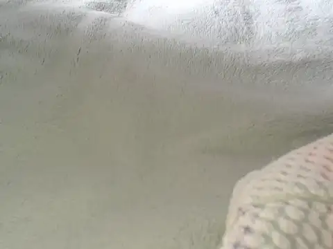 IMAGatMARK live sex cam