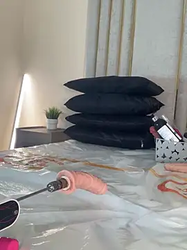 Liincostelloo's cam snapshot