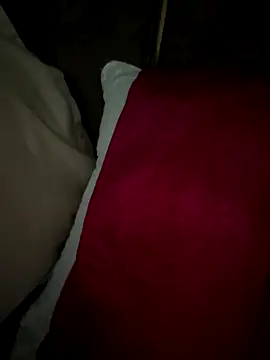 dalou3a22's cam snapshot