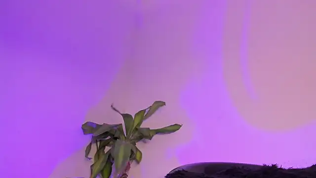 Lucy_shen_ live sex cam