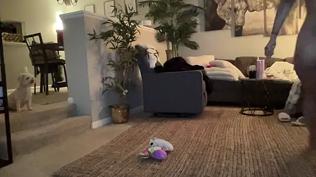 nalanistorme's cam snapshot