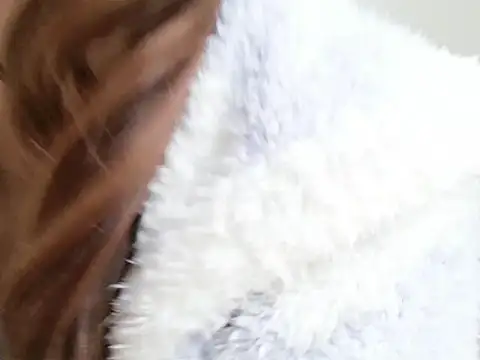 Hina2212's cam snapshot