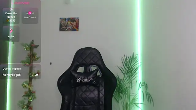 vieernes's cam snapshot