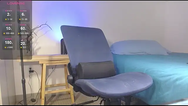 Danmetsen's cam snapshot