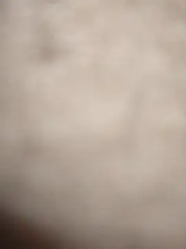 Curvy_Pounder's cam snapshot