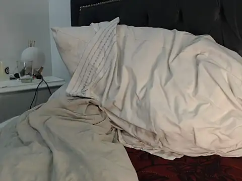 ps5pr's cam snapshot