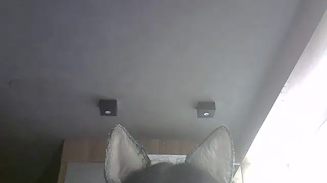 SkinnyKitten live sex cam