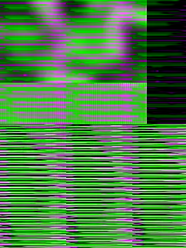 Yt_krishna's cam snapshot