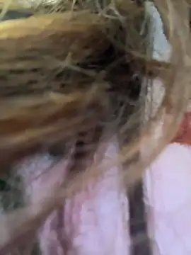 chick-888's cam snapshot