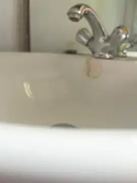 papibbc6989 live sex cam