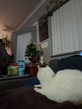 Integrityofsin's cam snapshot