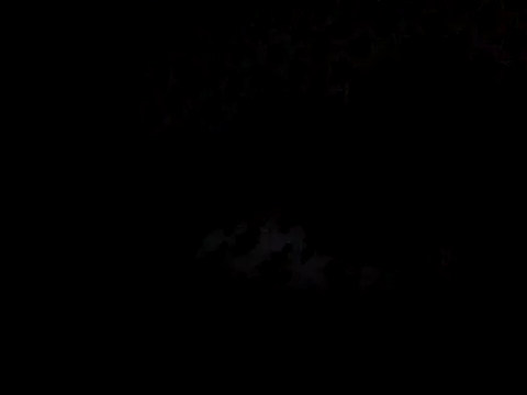 Carmelia10's cam snapshot