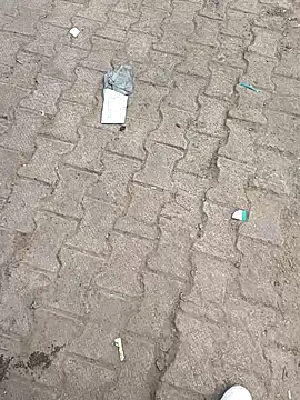 Outdoor_backup live sex cam