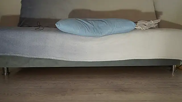 Fecvht45's cam snapshot