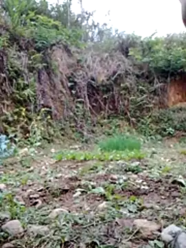 Georgia_here live sex cam