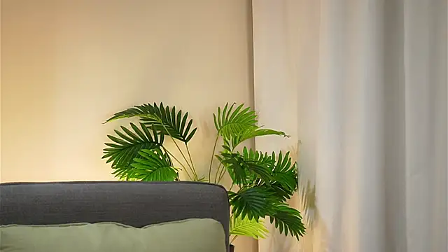 akumadadrive's cam snapshot