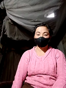 seacyre's cam snapshot