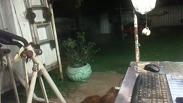 herbie010666 live sex cam