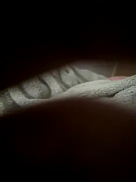 UnitedMap1 live sex cam