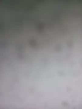 Arti_hot44A's cam snapshot