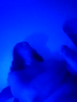 vladopen live sex cam