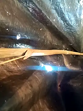 Hot-honi's cam snapshot