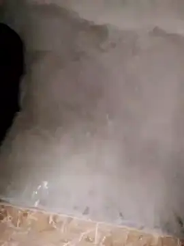 betty_wang's cam snapshot