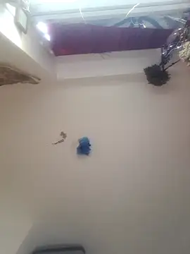 DaddyQuimHot live sex cam