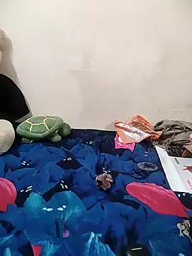 meenu_bhabhi547's cam snapshot