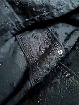 White-Rose-Telugu's cam snapshot