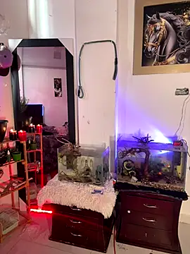 CRAZY-BOY99's cam snapshot