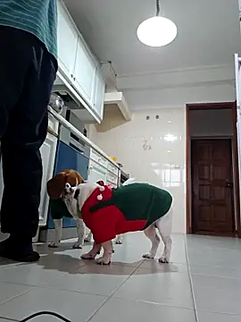 EbanoENeves69's cam snapshot