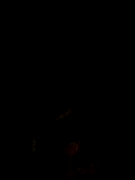 Pussyrequired live sex cam