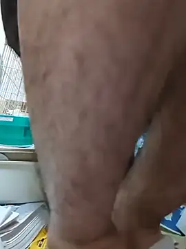 youheikun's cam snapshot