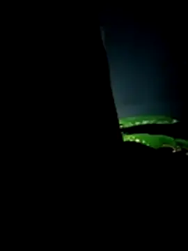 Pretodoceee's cam snapshot