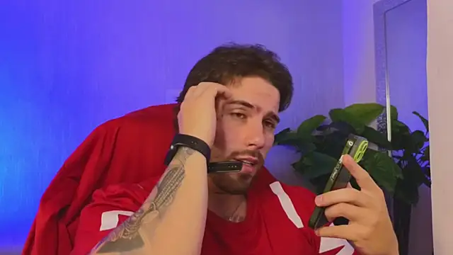 Ades_Lowe's cam snapshot