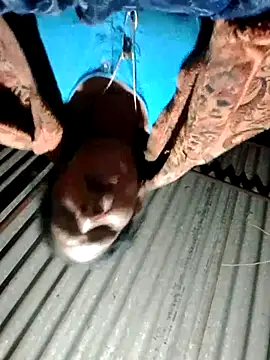 Rs_sonam's cam snapshot