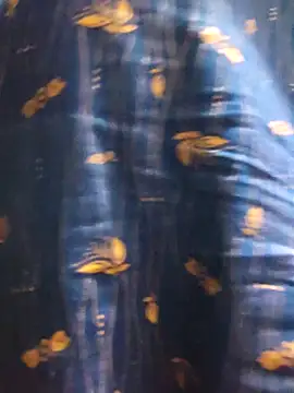 laxmipriya143's cam snapshot