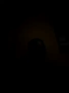 piedic's cam snapshot