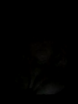 Lana-murr's cam snapshot