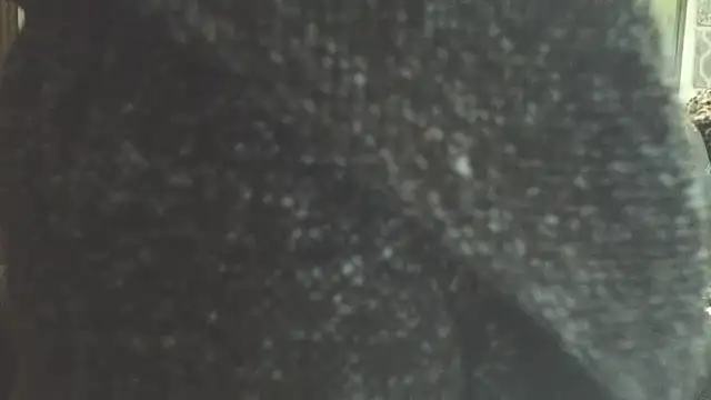 AllyKityKay live sex cam