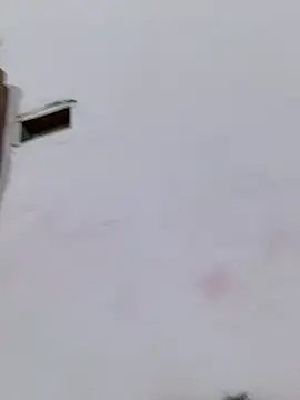 Indian-couple2025's cam snapshot