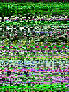 CoraVibes's cam snapshot