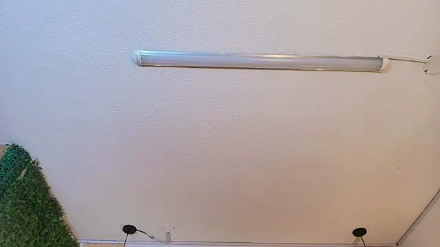 Rosee_park's cam snapshot