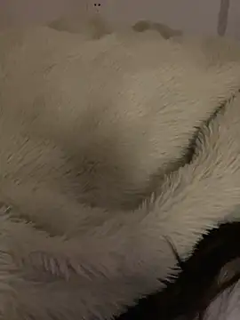 ruiki666's cam snapshot