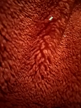 Raj-rajendri__sexy24's cam snapshot